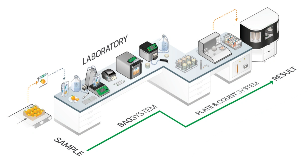 From sample to result: Bag System, Plate & Count System